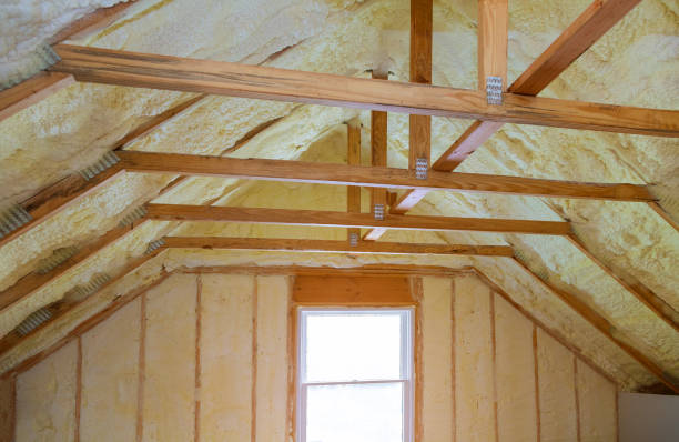Best Insulation Contractors for Homes  in Statesville, NC