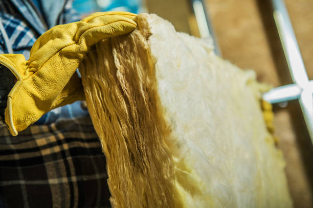 Best Blown-in Insulation  in Statesville, NC