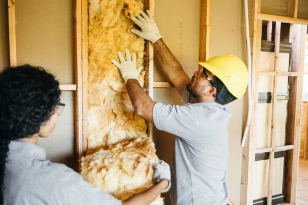 Professional Insulation Contractor in Statesville, NC