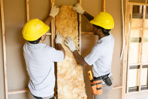 Best Attic Insulation Installation  in Statesville, NC