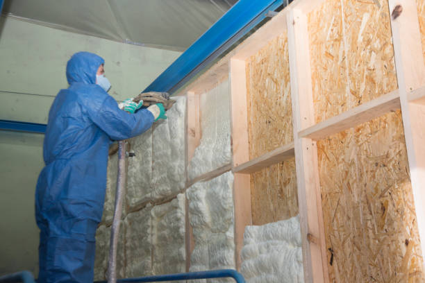 Best Home Insulation Services  in Statesville, NC