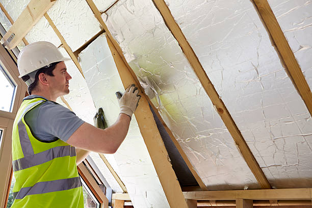 Best Insulation Repair Services  in Statesville, NC