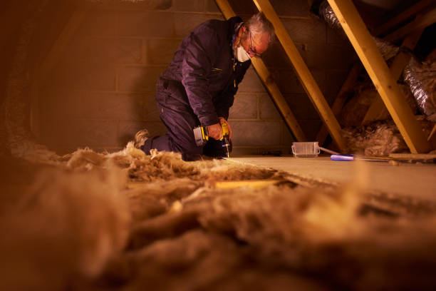 Best Insulation Removal  in Statesville, NC